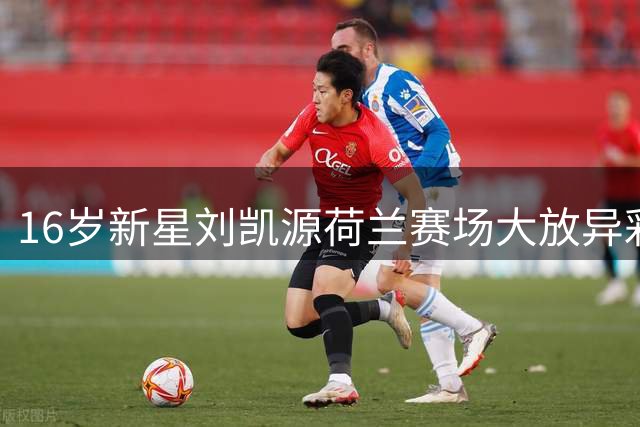 16岁新星刘凯源荷兰赛场大放异彩